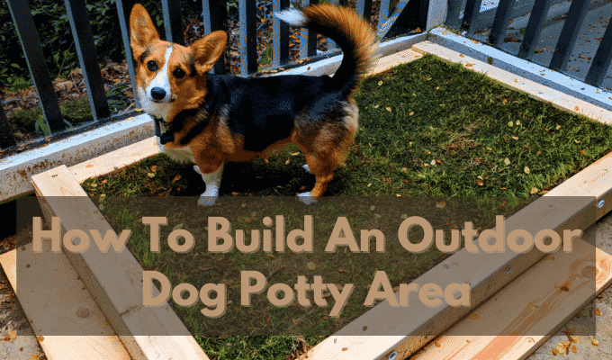 How To Build An Outdoor Dog Potty Area On Concrete