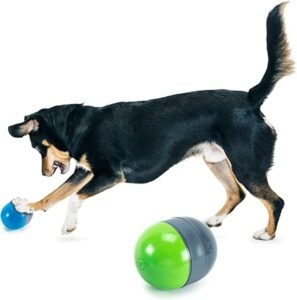 Dog Toys That Move