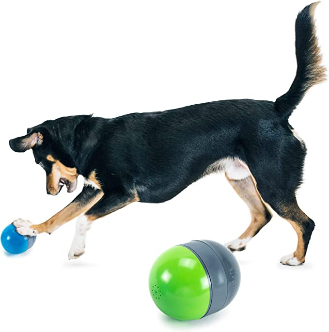 Ricochet Dog Toy - Dog Toys That Move