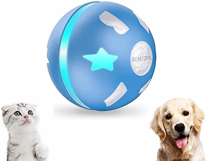 PetDroid Interactive Ball - Dog Toys That Move